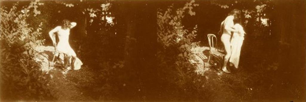 Pierre Bonnard. Marthe Bonnard vers 1900-1901. RMN